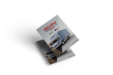Katalog